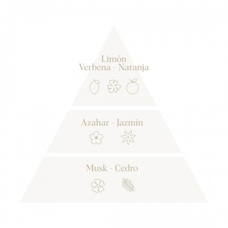 Agua de colonia Don algodon Baby vaporizador 200ml