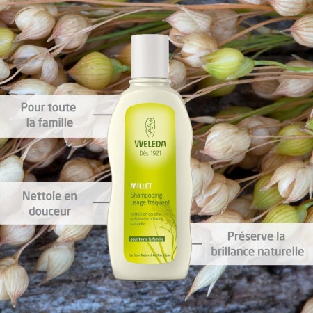Champú nutritivo con Mijo 190ml . Weleda