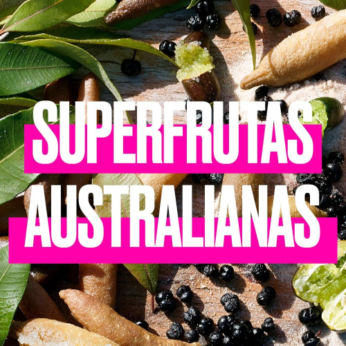 Champú SOS ,Hidratación y Reparación Intensa - Para Pelo Seco y Dañado 490ml . Aussie