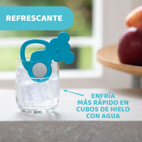 Mordedor Koala refrescante con acero inoxidable (+4m) Chicco