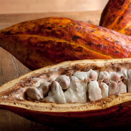 Skin Food Body Butter nutrición corporal...