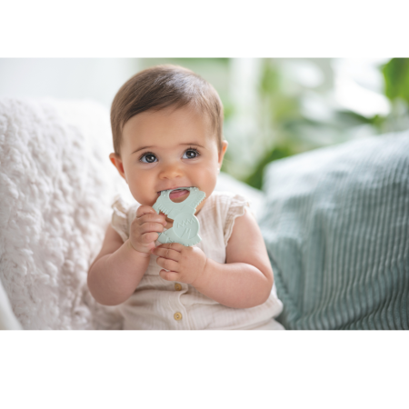 Anillo de Dentición Baby Mousse 3m+ Tigex