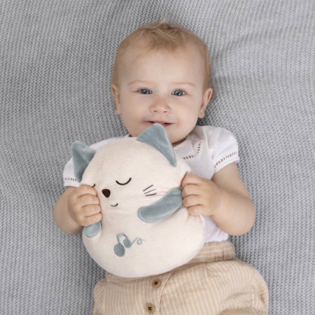 Gatito Ronroneador. Chicco