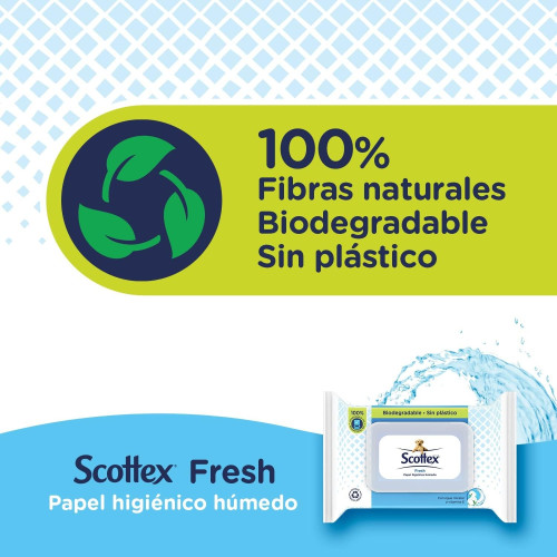 Toallitas papel húmedo con agua micelar y vitaminas E Scottex. Pack Ahorro 6 x 74