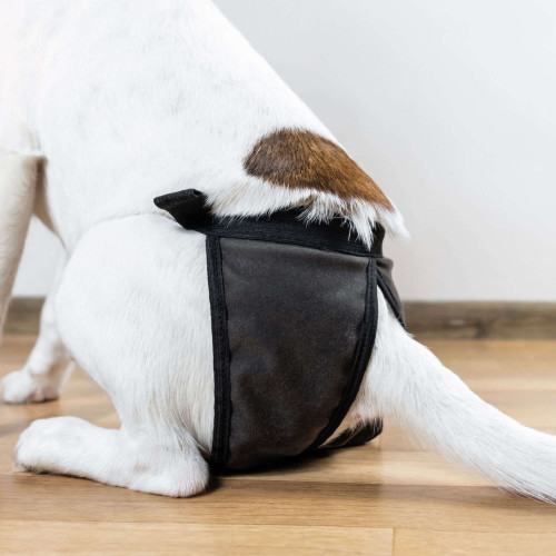 Braguitas adaptables