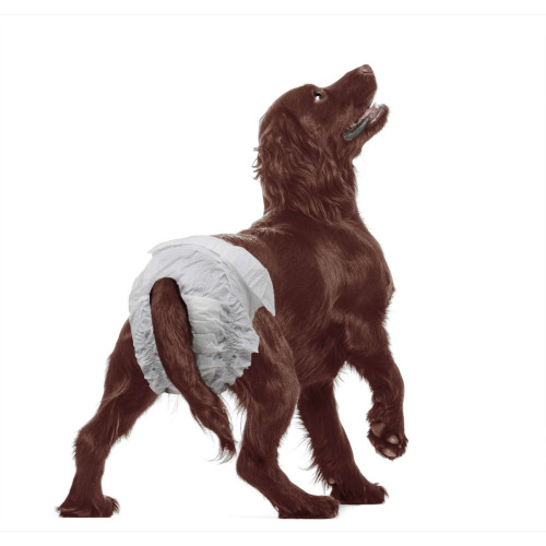 Pañales Doggy Slips. Talla M, Peso: 6,8 – 15,8 kg. 13 Uds