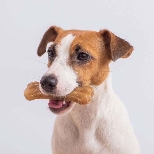 Hueso Prensado Nutradog 12 cm | Snack Natural Masticable para Perros