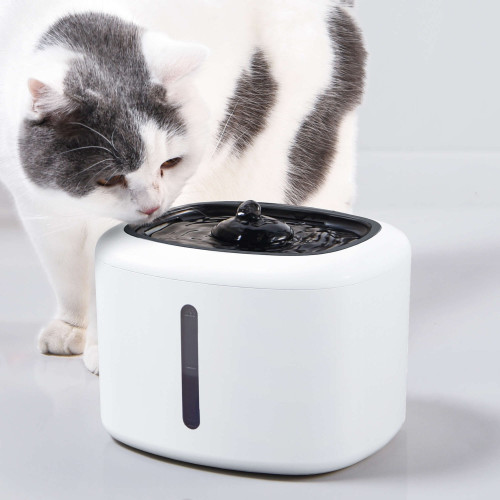 Bebedero fuente con LED XT-CAT