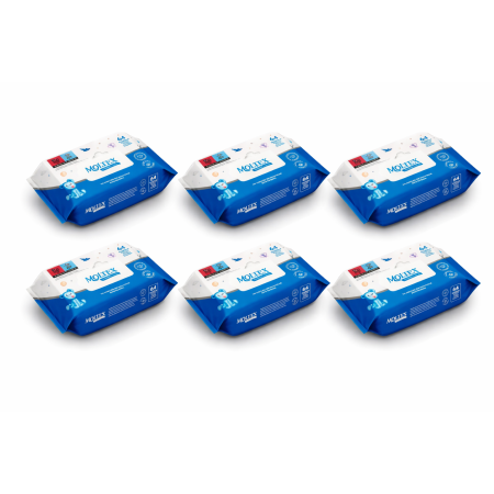 Toallitas Moltex Clásica Pack Ahorro 384 Uds (6x64) – Limpieza Suave y Máximo Ahorro Diario