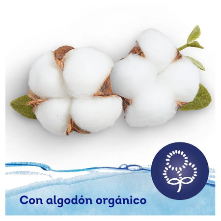 Toallitas Dodot Aqua Pure con Tapita Pack Ahorro 576 Uds (12x48) – Máxima Pureza y Suavidad para tu Bebé