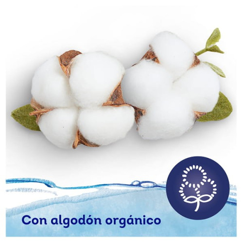 Toallitas Dodot Aqua Pure con Tapita Pack Ahorro 576 Uds (12x48) – Máxima Pureza y Suavidad para tu Bebé