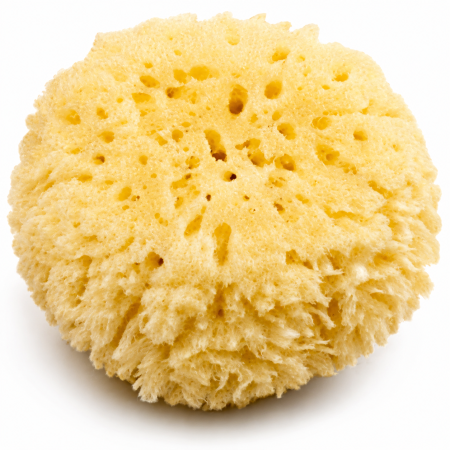 Esponja Natural para Bebé
Limpieza suave y delicada para la piel sensible desde el primer baño