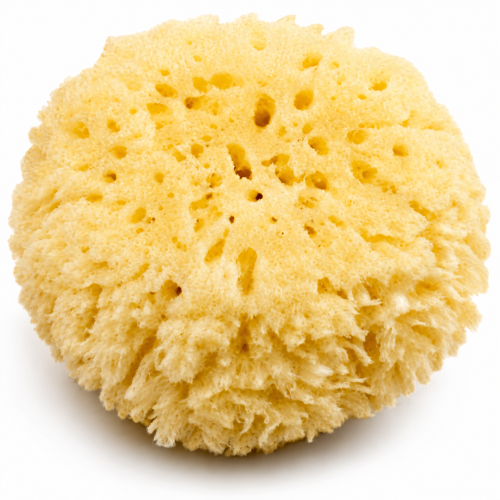 Esponja Natural para Bebé
Limpieza suave y delicada para la piel sensible desde el primer baño