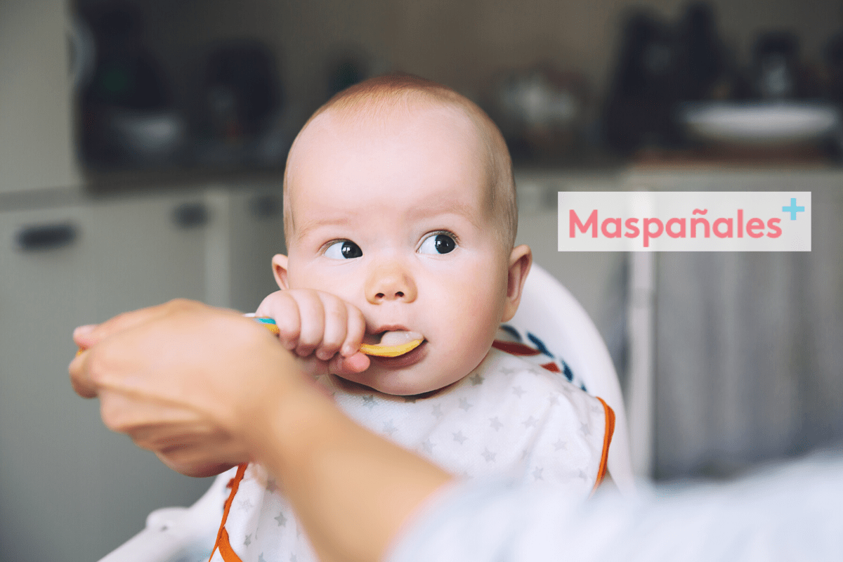 Cuándo incluir los potitos en la dieta del peque - Los mejores consejos y  recomendaciones para tu bebe