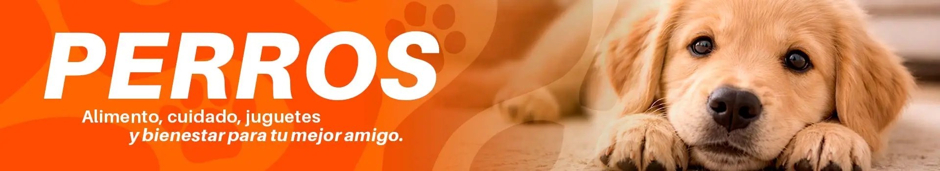 Perros