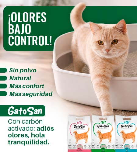 GatoSan
