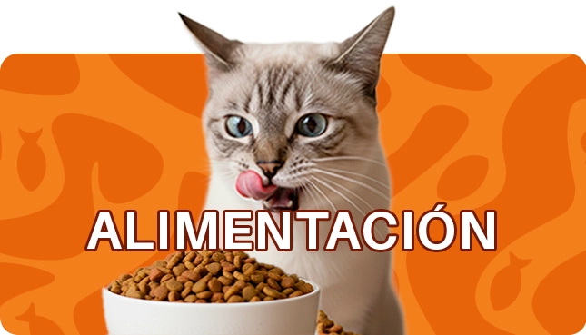 Alimentaci&oacute;n gatos