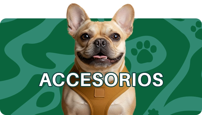 Accesorios perros