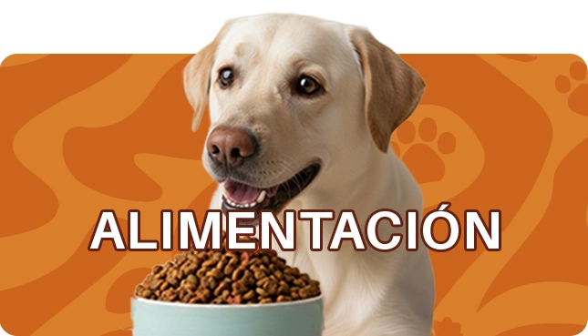 Alimentaci&oacute;n perros