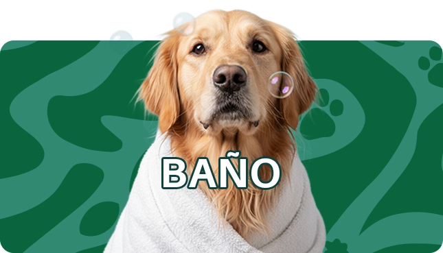 Ba&ntilde;o perros