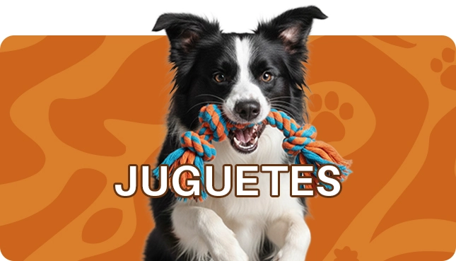 Juguetes perros